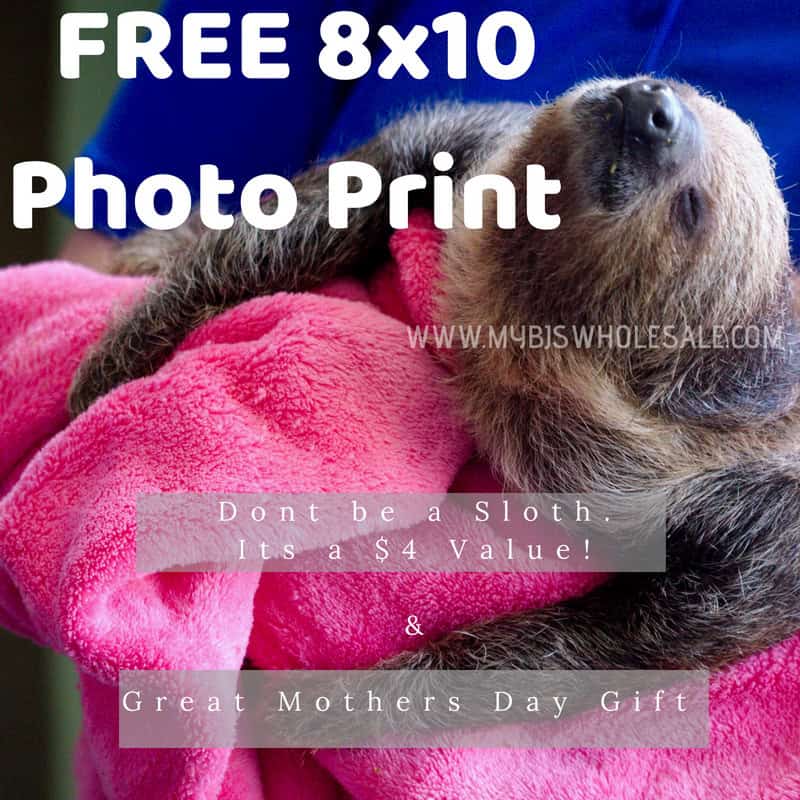 Sloth-Taylor Handy Photo