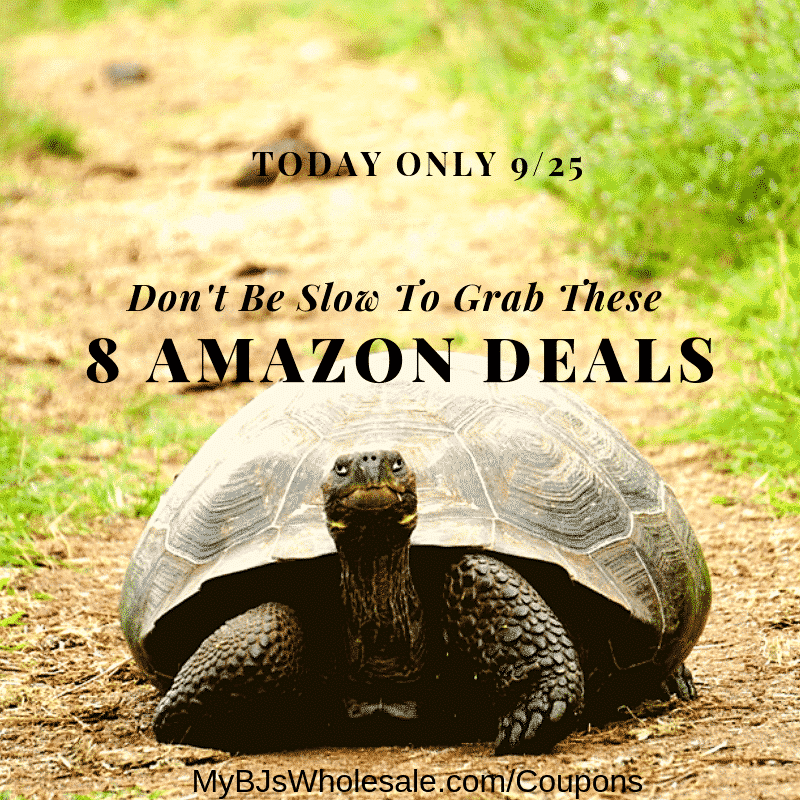 8 Amazon Deals