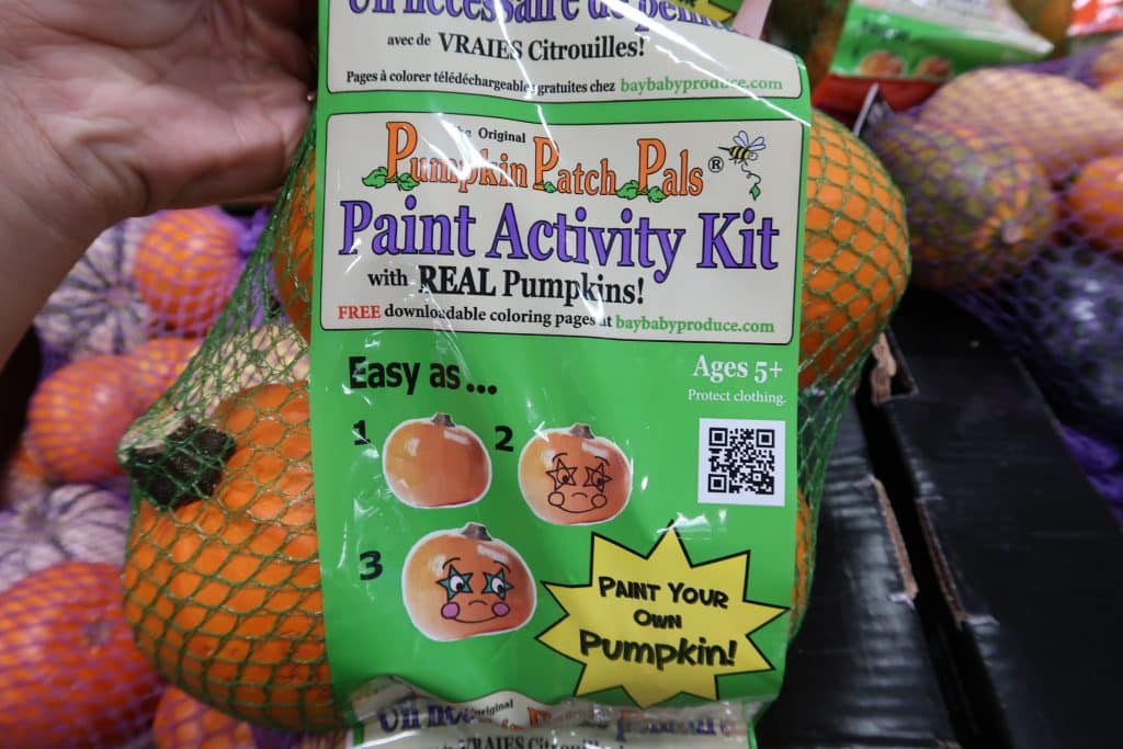 cute pumpkins from bjs wholesale club