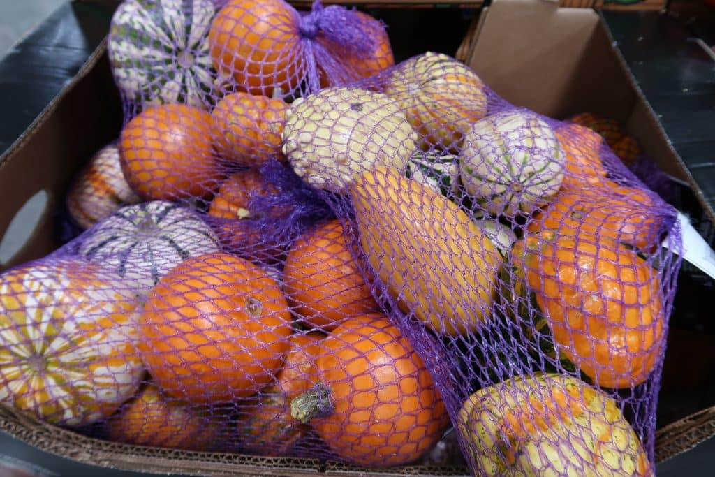 gourds at bjs wholesale club