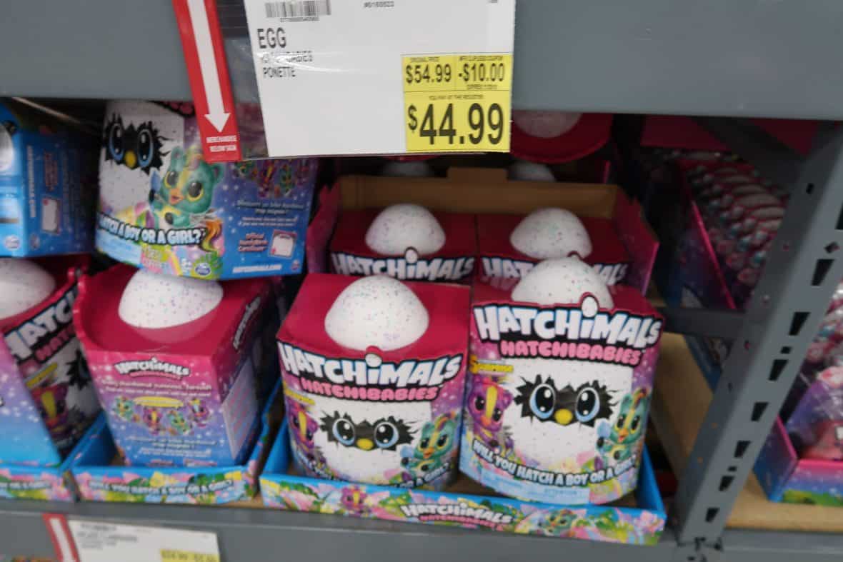 Hatchimals at BJs on sale