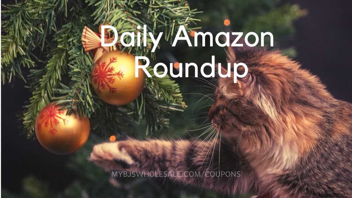 Daily Amazon Roundup 12/17