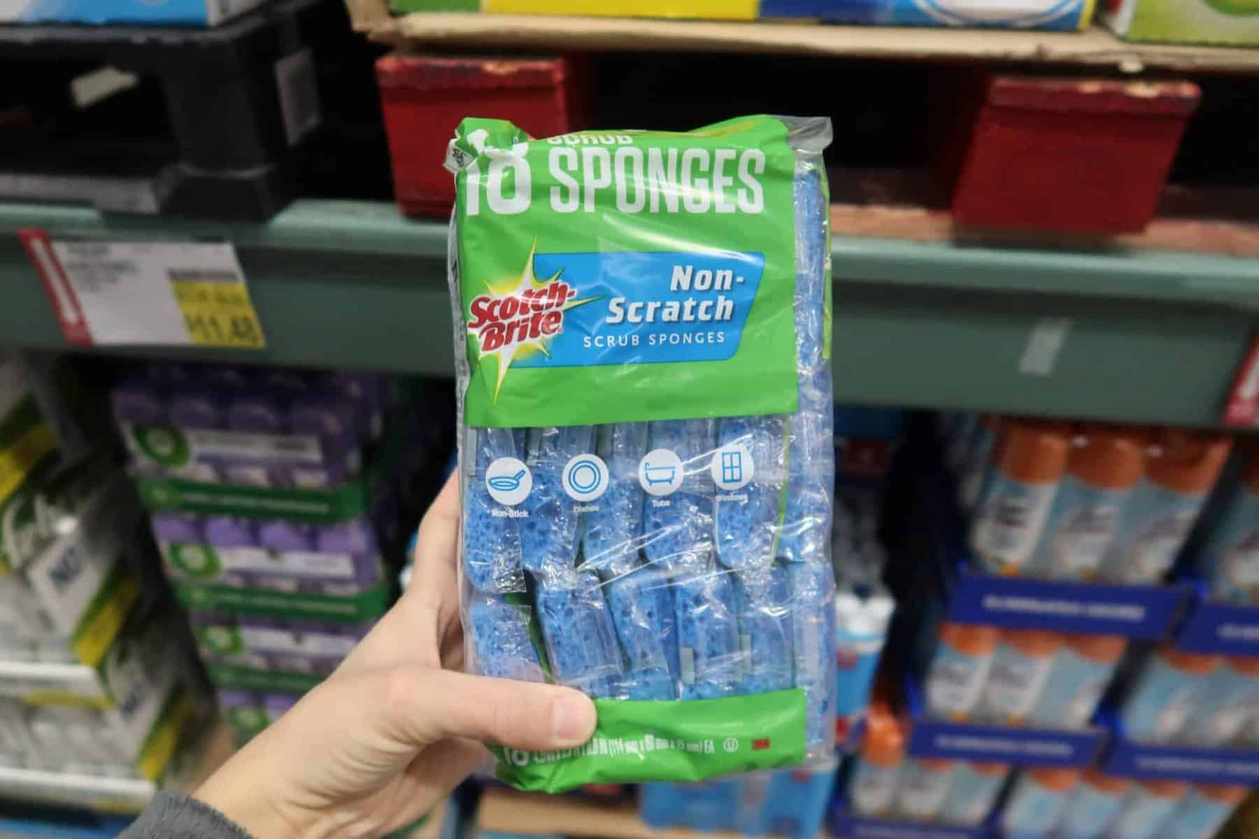 scotch brite sponges