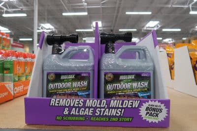 mildew and algae stains