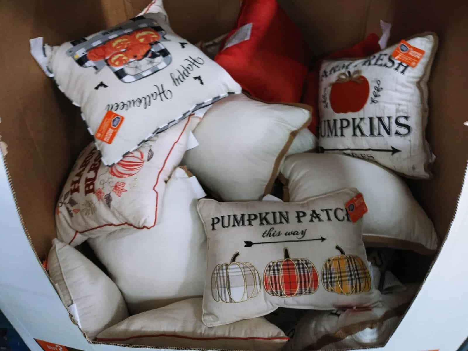 Berkley Jensen Assorted Harvest Pillows