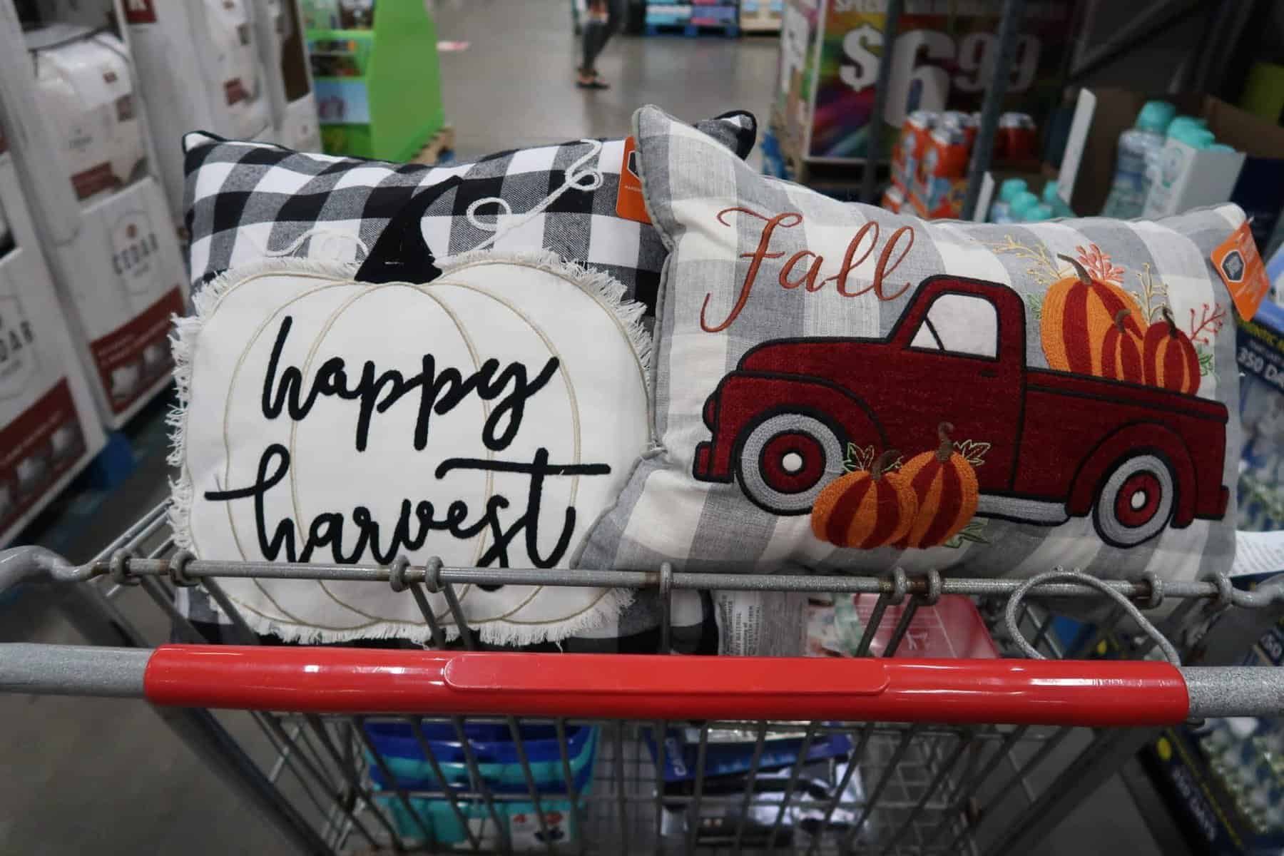 harvest pillows at bjs