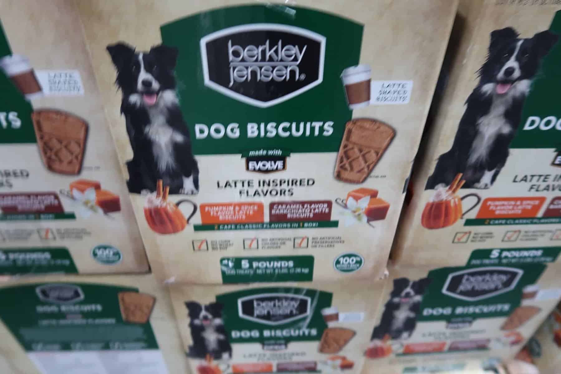 pumpkin spice latte dog biscuits
