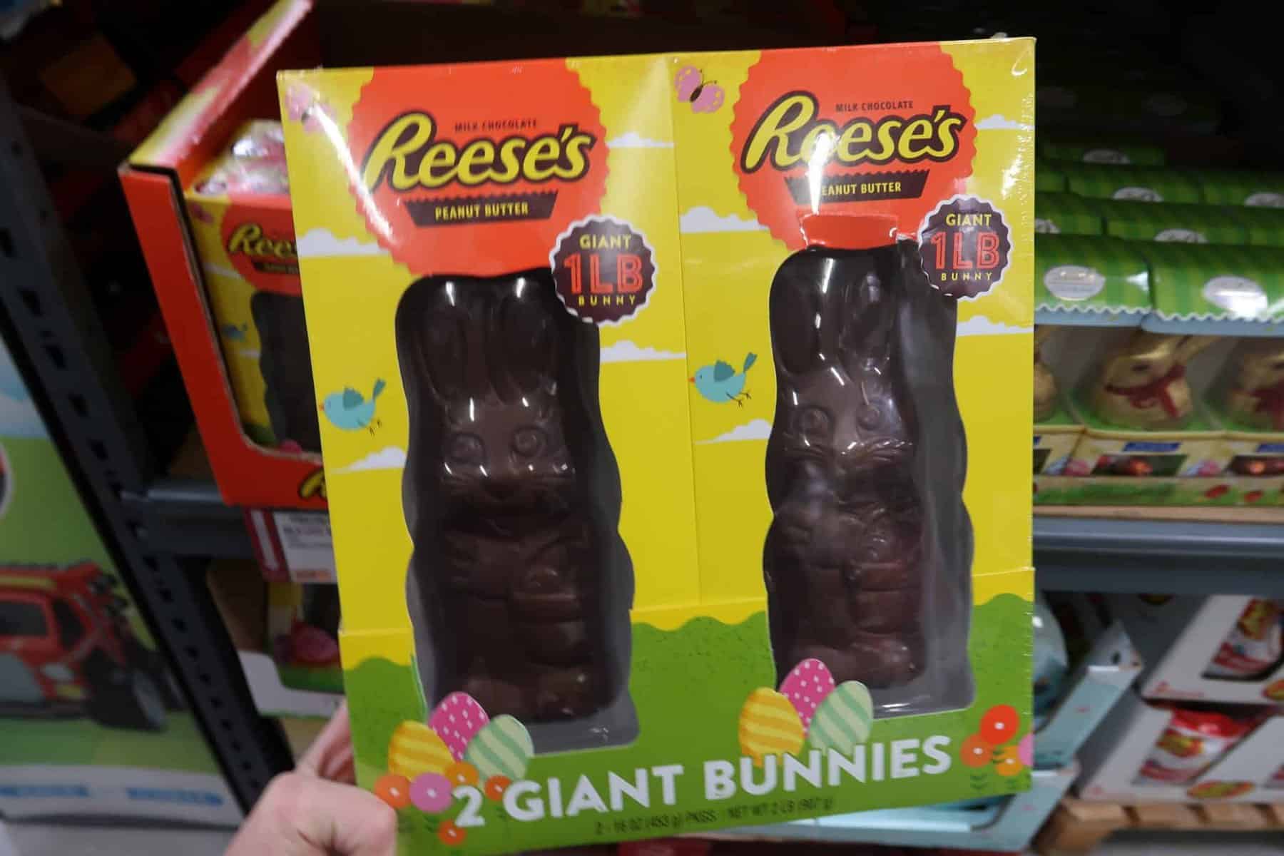 reeses giant bunnies