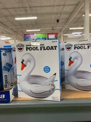 giant pool swan