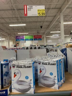 giant swan pool float