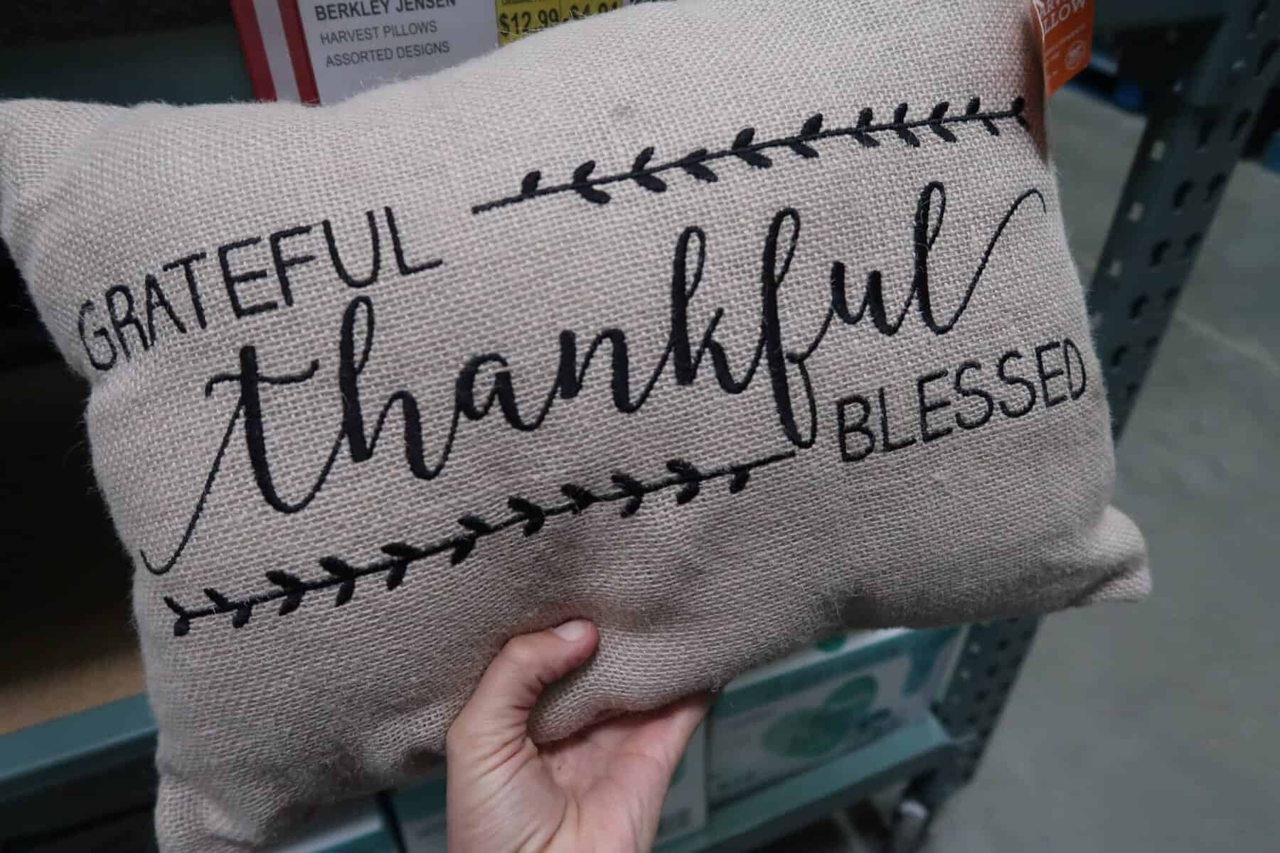 thanksgiving pillows bjs