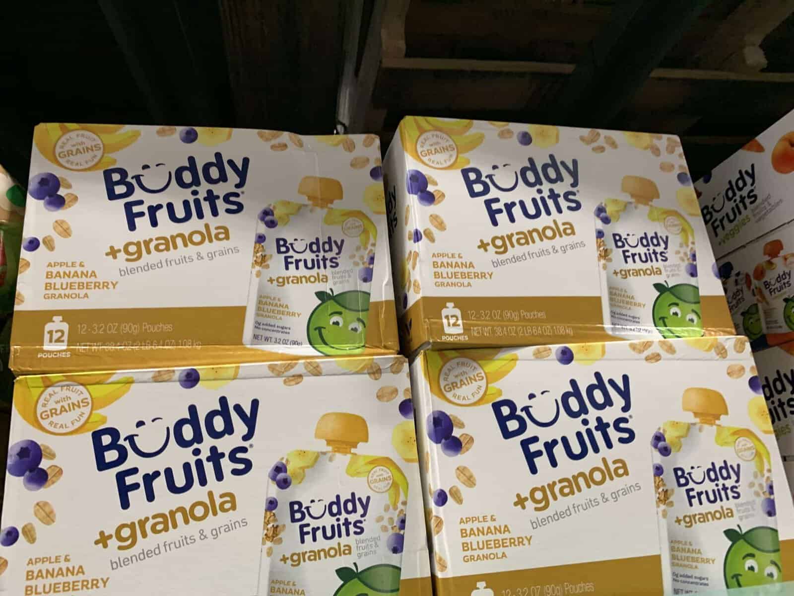 Buddy Fruits Blended Fruits with Banana Blueberry Granola Pouches, 12 pk./3.2 oz.