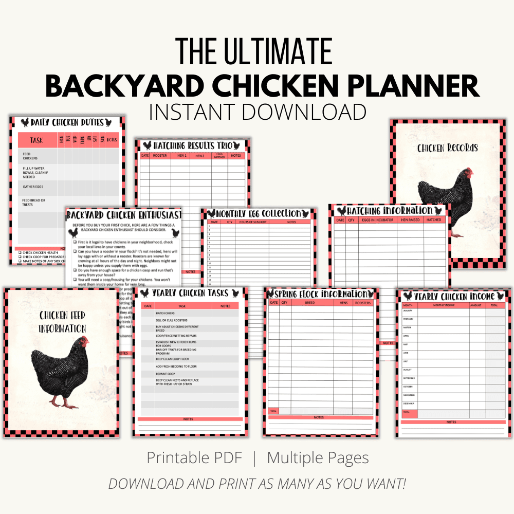 the ultimate chicken planner