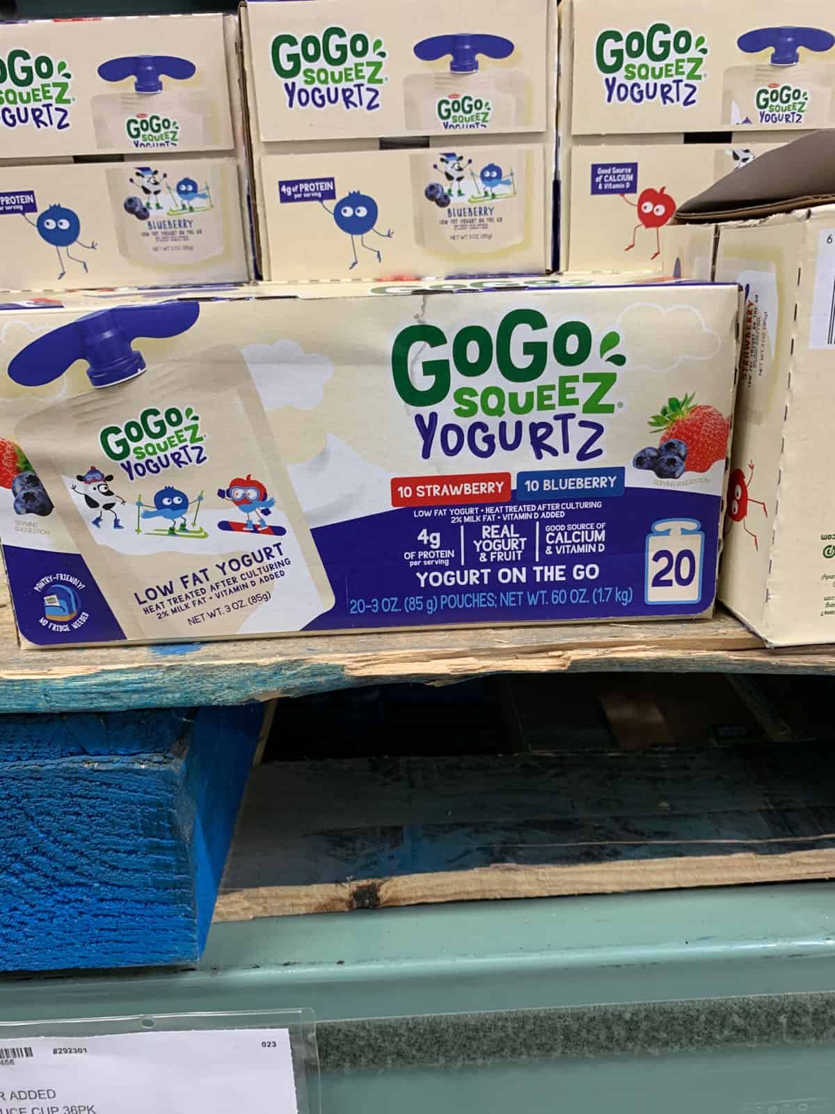 gogo squeez yogurtz