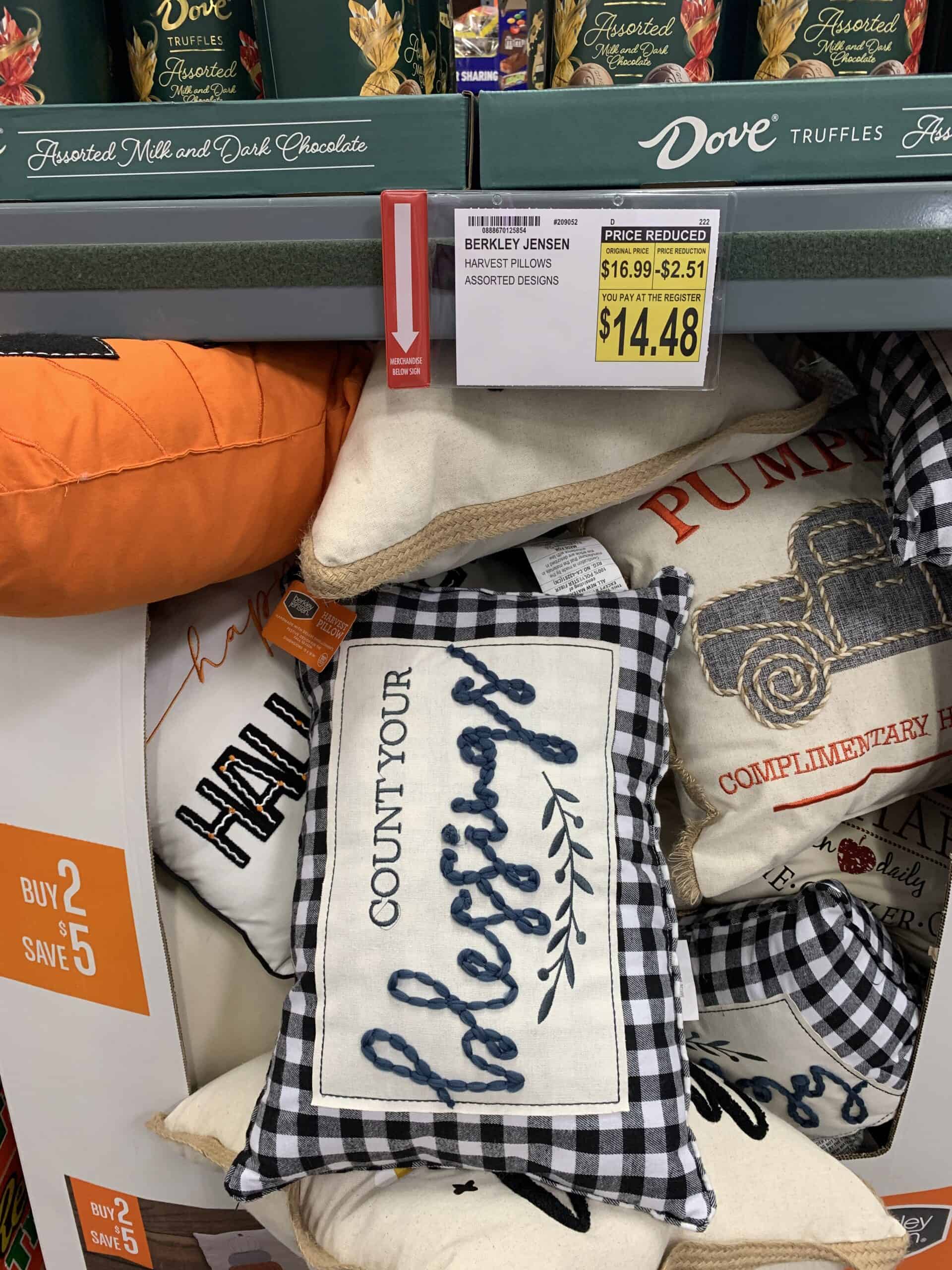 assorted harvest pillows